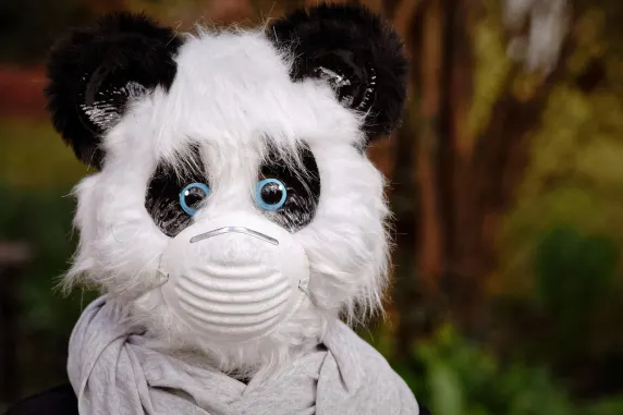 Duelbits Casino Support